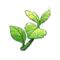 Herb